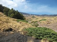 rrente Quarantore-20110911 130